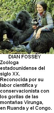 Dian Fossey.jpg